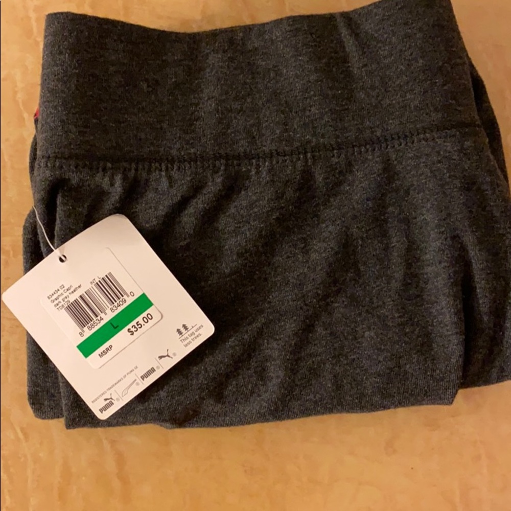 Puma capri - Picture 4 of 5